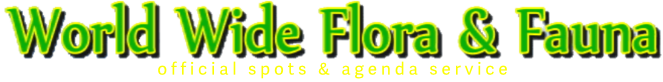 WWFF Logo